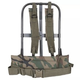 LC-1 A.L.I.C.E Field Pack Frame-  Woodland Camo